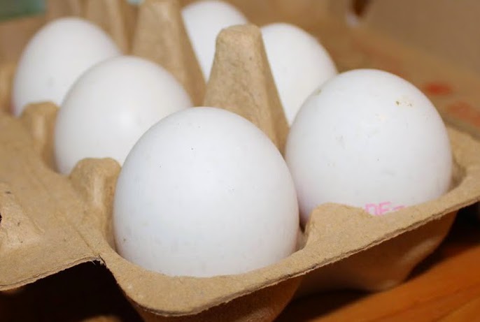 Eier im Karton1 - Eiweiß (Protein): Wie viel brauchst du wirklich? (Vorkommen, Bedeutung, Bedarf)